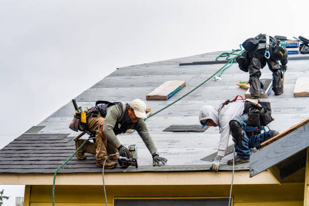 Professional Roofing technician working in Long Island, ME